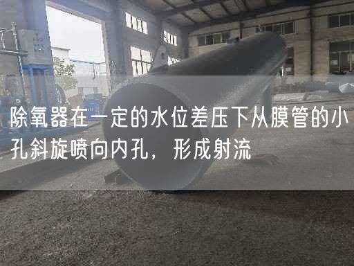 除氧器在一定的水位差壓下從膜管的小孔斜旋噴向內孔，形成射流
