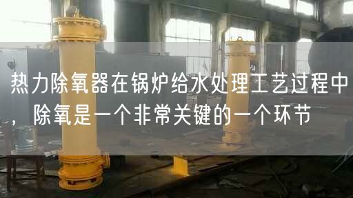熱力除氧器在鍋爐給水處理工藝過程中，除氧是一個非常關鍵的一個環節
